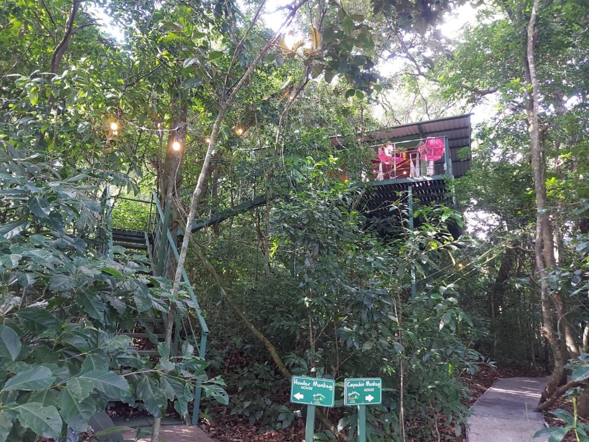 Jungle Living Tree Houses الجبل الأخضر المظهر الخارجي الصورة