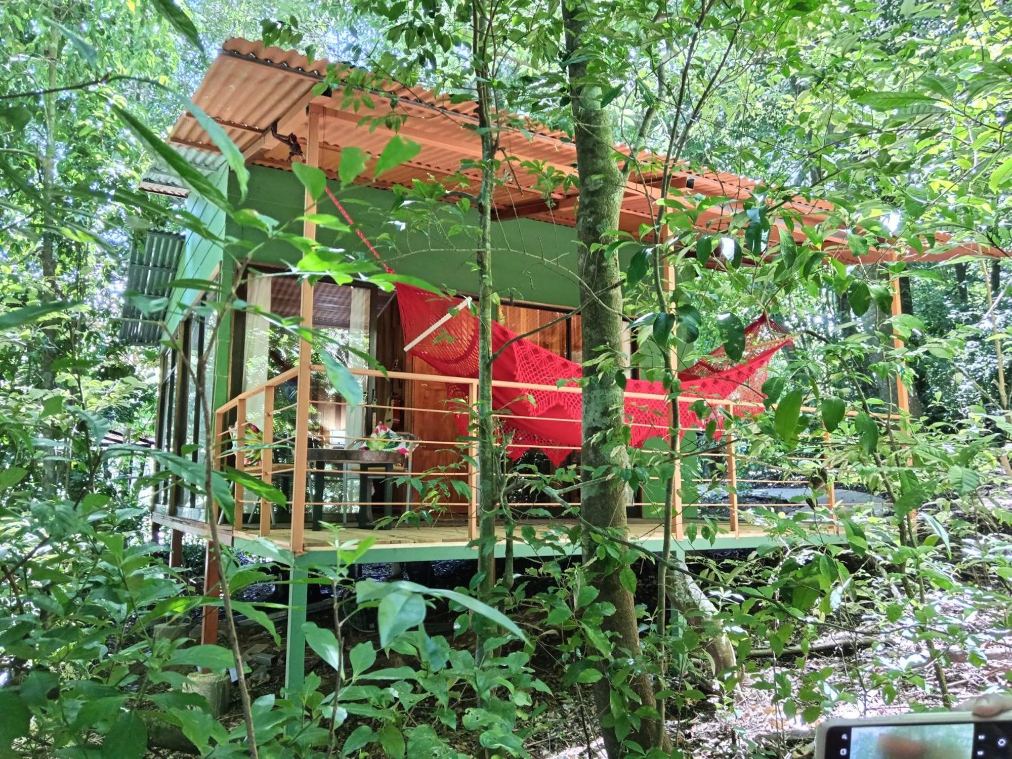 Jungle Living Tree Houses الجبل الأخضر المظهر الخارجي الصورة