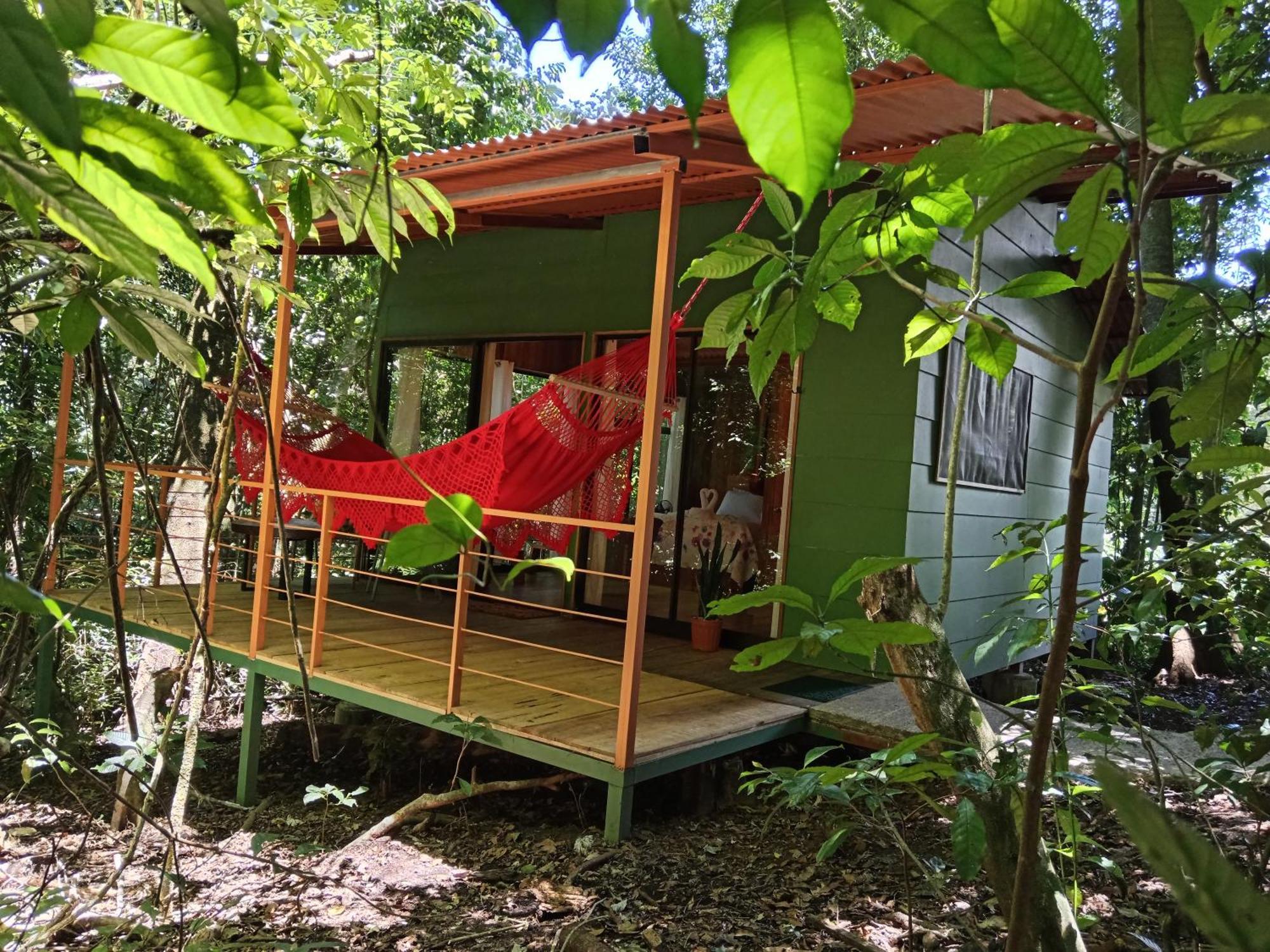 Jungle Living Tree Houses الجبل الأخضر المظهر الخارجي الصورة