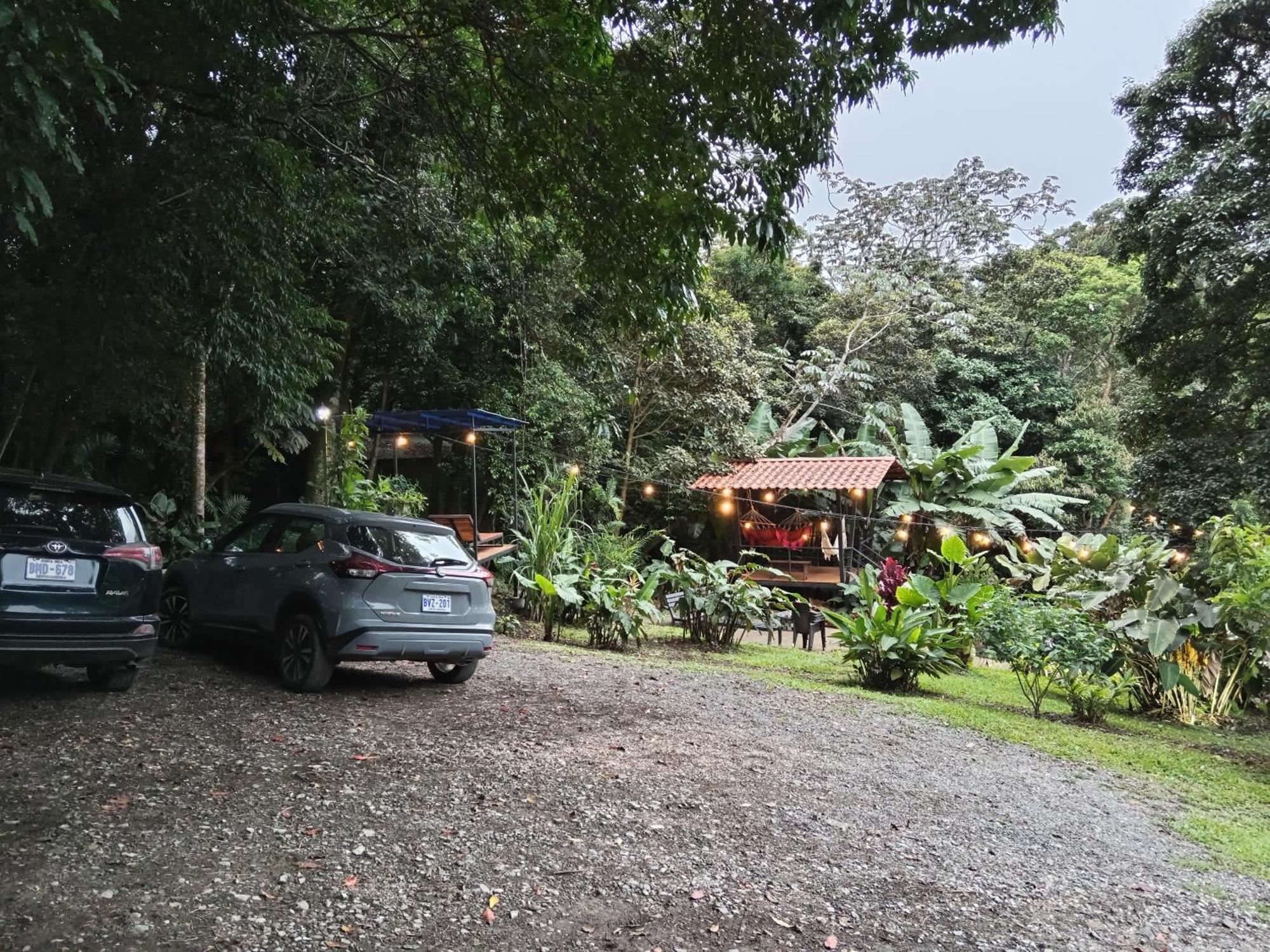 Jungle Living Tree Houses الجبل الأخضر المظهر الخارجي الصورة
