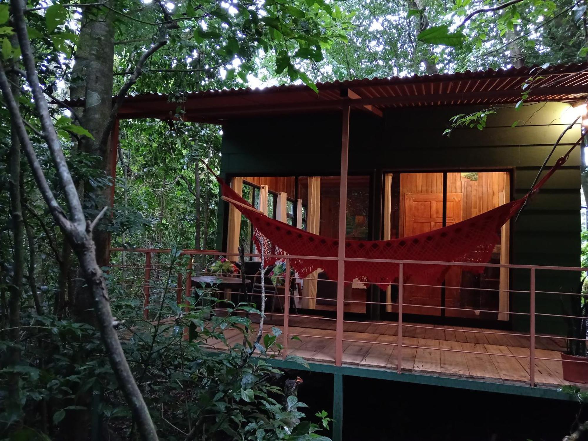 Jungle Living Tree Houses الجبل الأخضر المظهر الخارجي الصورة