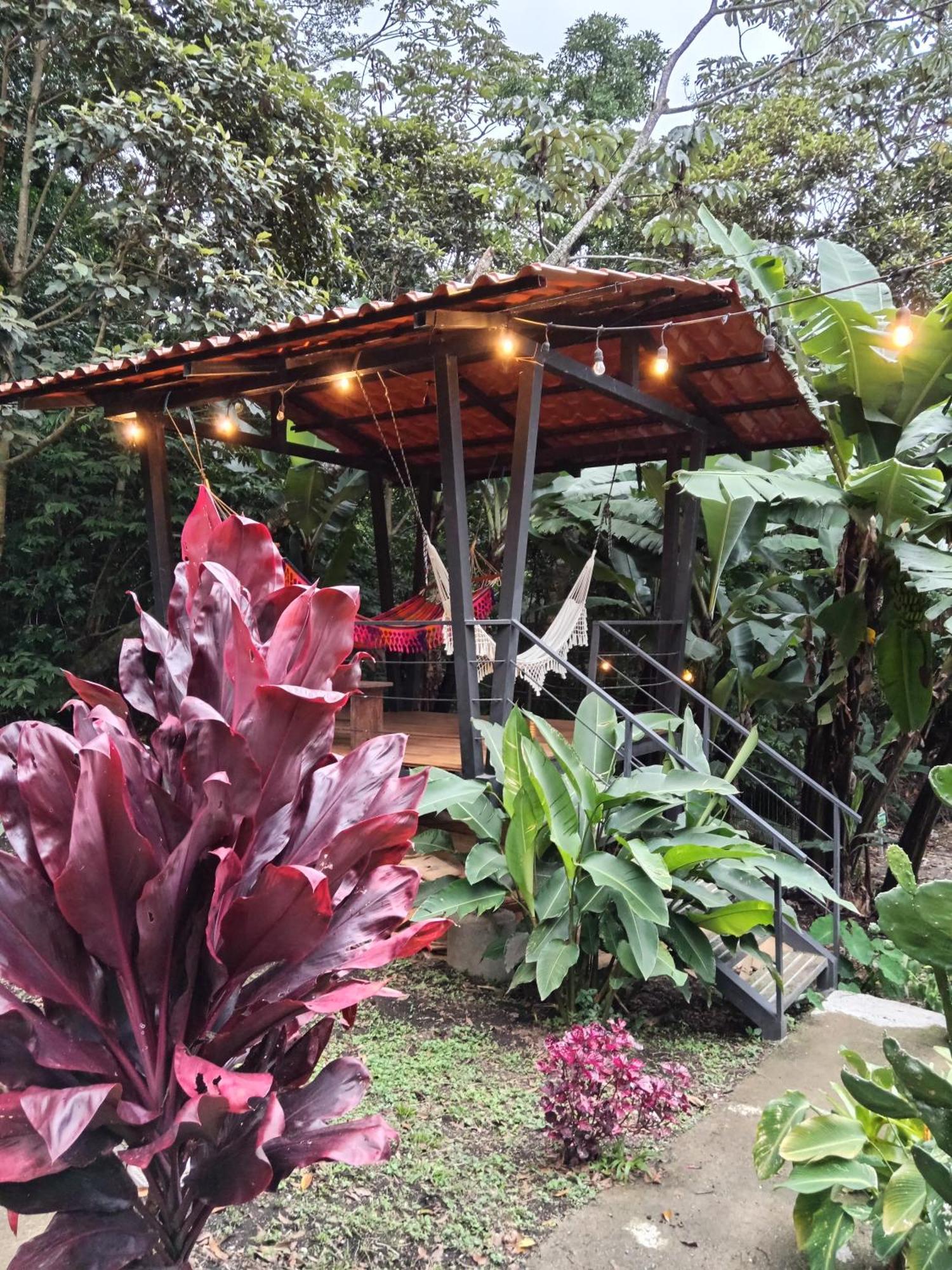 Jungle Living Tree Houses الجبل الأخضر المظهر الخارجي الصورة