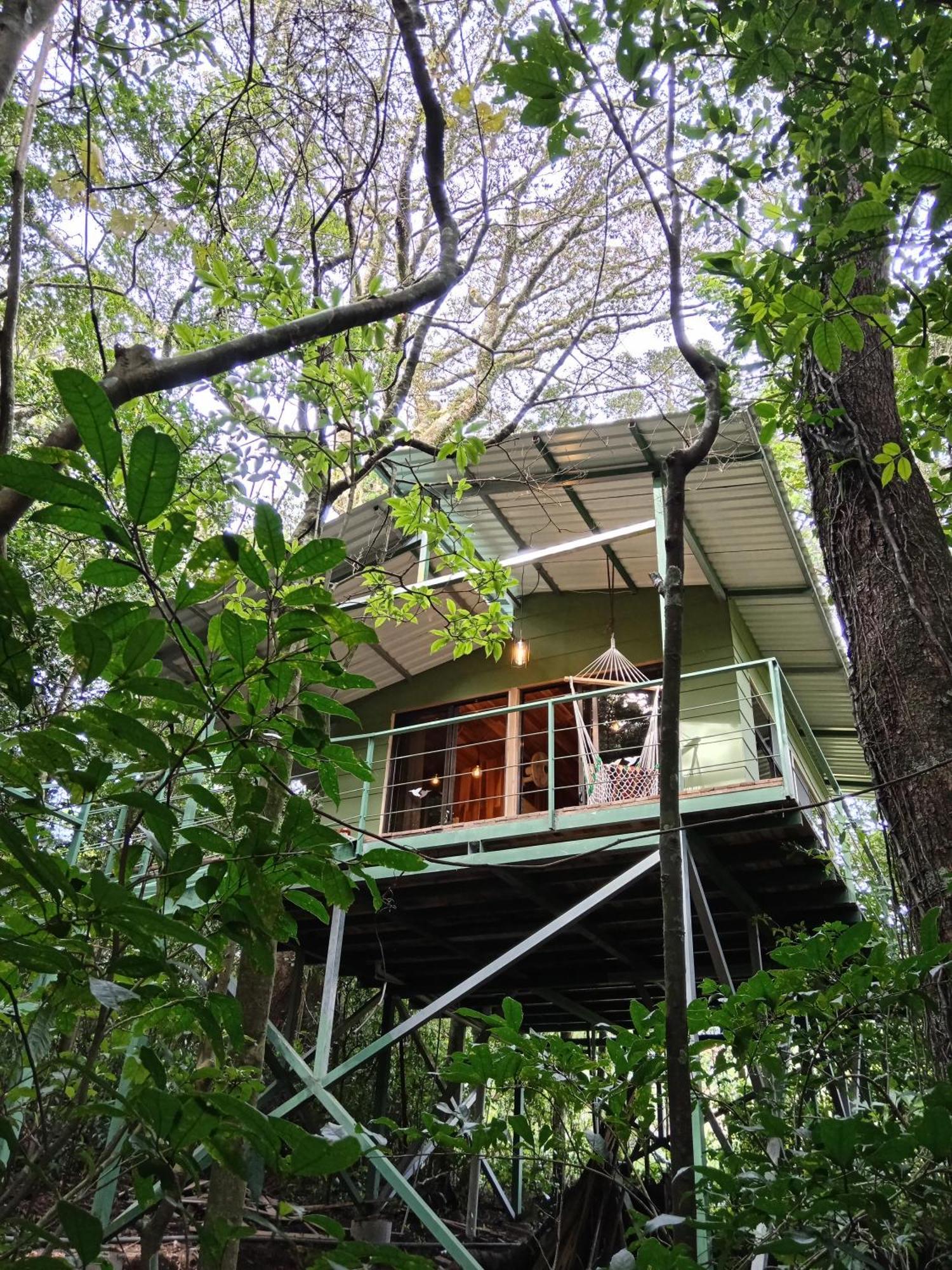 Jungle Living Tree Houses الجبل الأخضر المظهر الخارجي الصورة